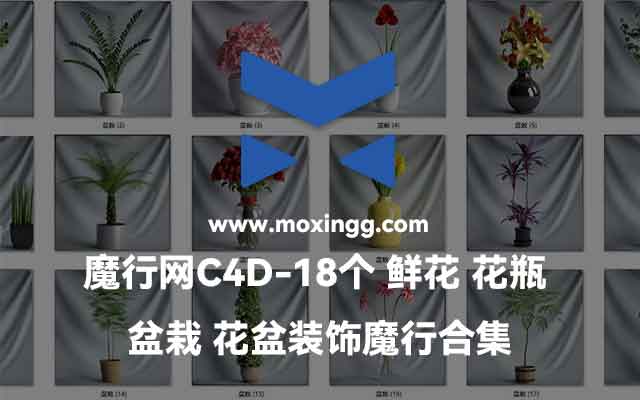 魔行网精选：18款C4D鲜花花瓶与盆栽花盆装饰模型合集