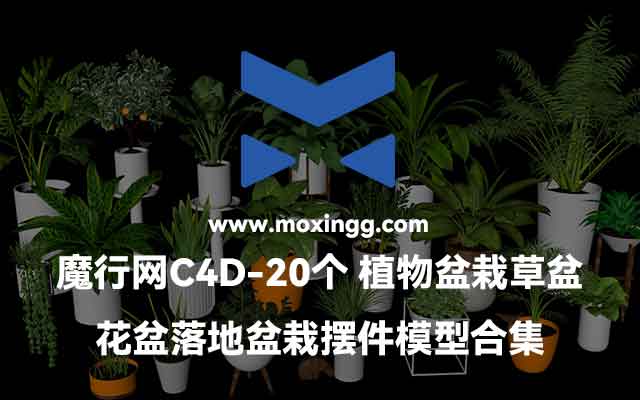 魔行网精选：20款C4D植物盆栽与落地花盆摆件模型合集下载