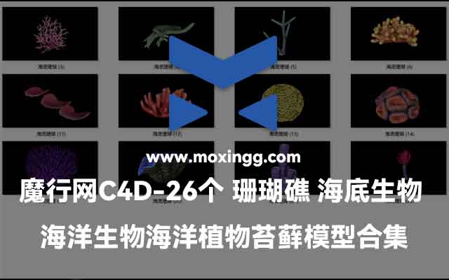 魔行网分享：26款C4D珊瑚礁与海底生物海洋植物模型合集