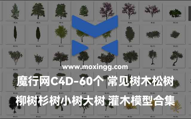 魔行网分享60个常见C4D树木模型合集（含松柳杉树）