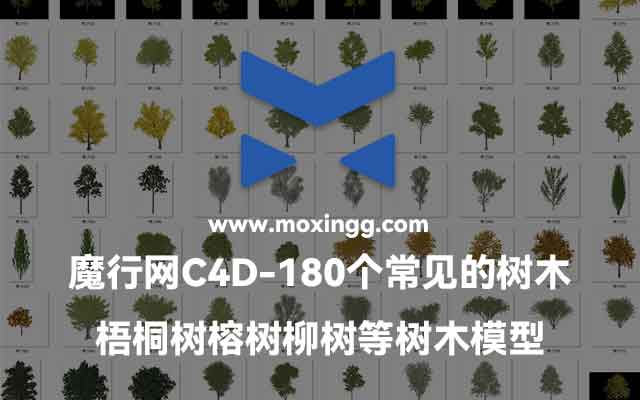 180个常见C4D树木模型合集：从松树到柳树的完整植物资产库