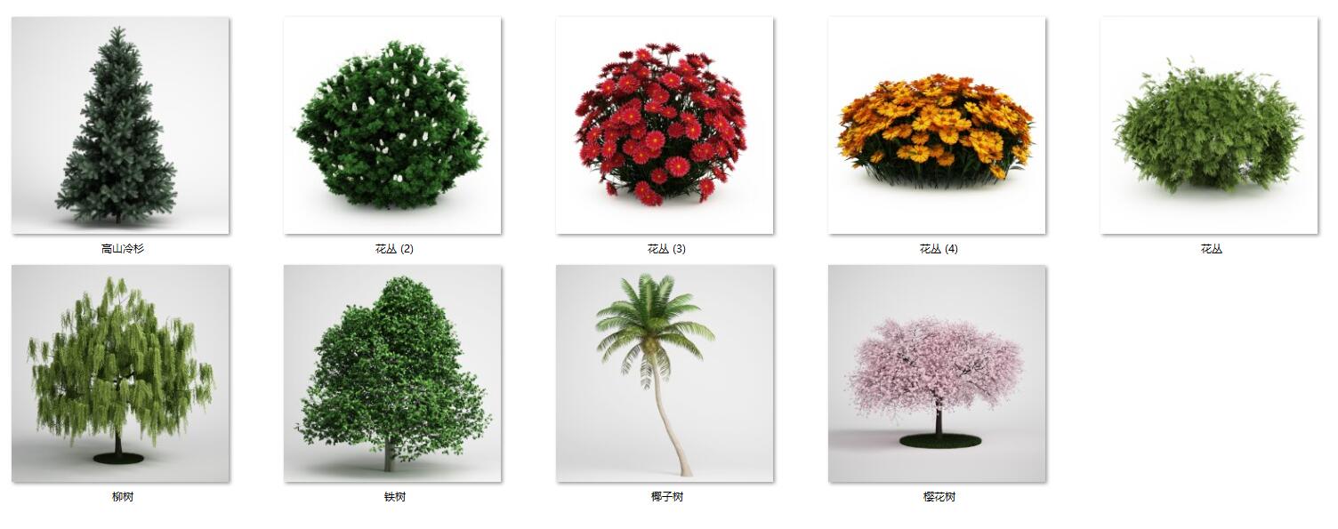 魔行网精选：9款C4D花园植物模型合集（含樱花/椰树/冷杉）