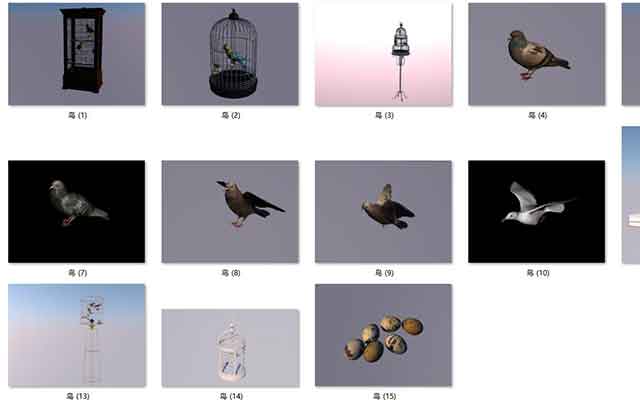 免费分享：15个C4D鸟儿、鸟笼与鸟蛋3D模型素材