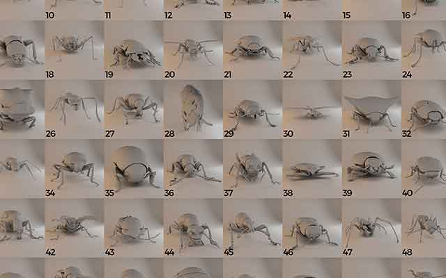 魔行网精选：60个C4D昆虫与动物三维模型合集免费下载