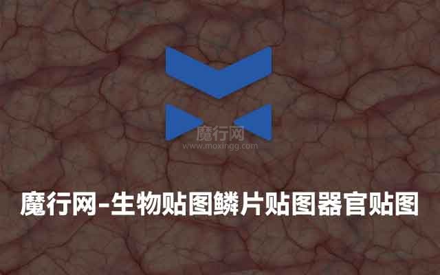 魔行网C4D生物贴图：鳞片、器官与内脏纹理素材分享