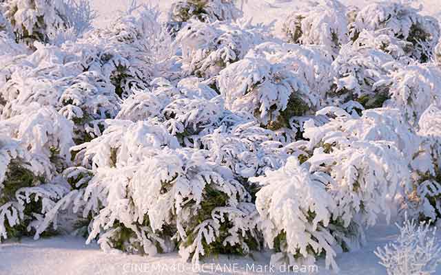 魔行网OC雪景工程：雪地与雪树C4D场景模型下载