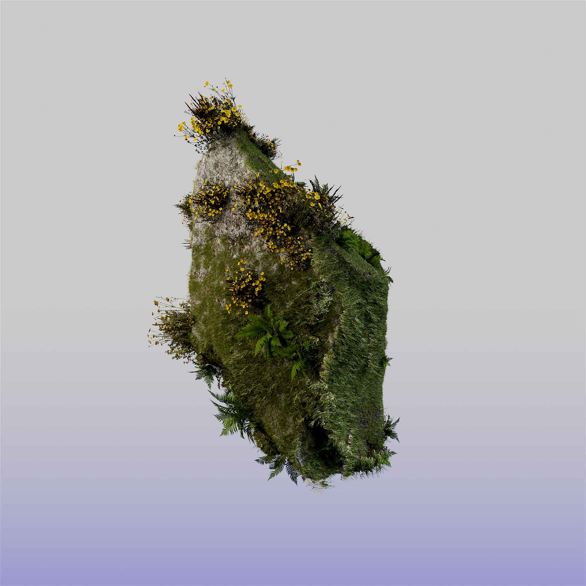 魔行网Arnold工程：写实苔藓石头抽象静物场景渲染素材