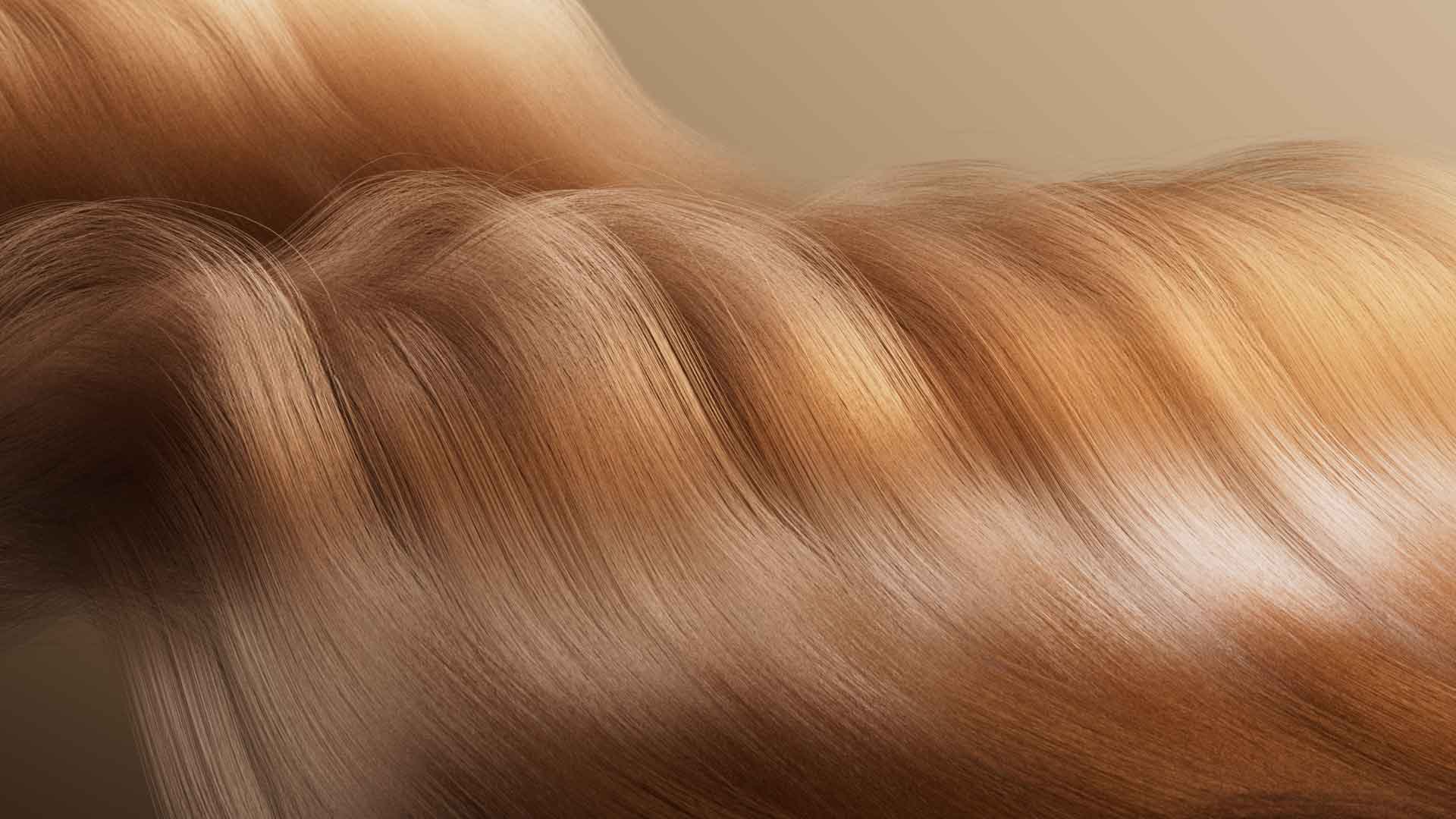 Redshift头发毛发工程文件免费下载