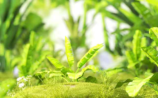 免费Octane绿植场景工程：青苔与小草写实渲染素材下载